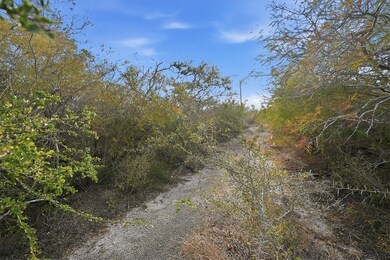 00 Huajilla Bend Rd, Sandia, TX 78383 - photo 4