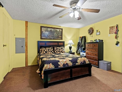 4685 Bluff Rd, Boaz, AL 35956 - photo 4