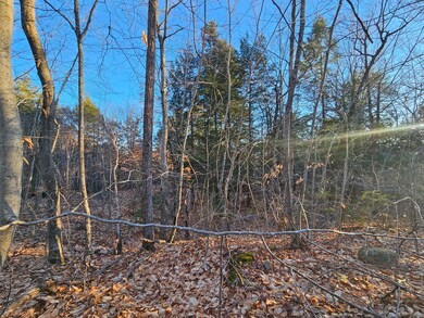 41-4 Tanner Way, Bridgton, ME 04009 - photo 5