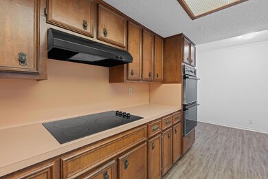 Kitchen with black electric stovetop, range hood,