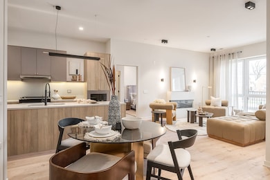 8000 Oconnor Dr unit 301, River Grove, IL 60171 - photo 4