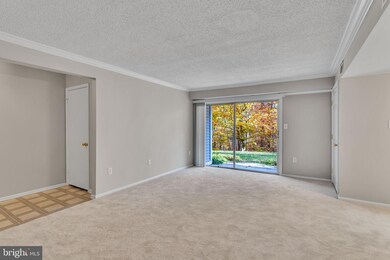 12249 Stevenson Ct unit 12249, Woodbridge, VA 22192 - photo 4