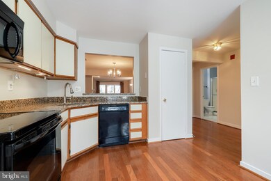 9519 Hickory Limb, Columbia, MD 21045 - photo 6