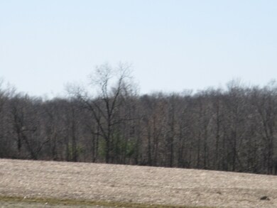 000 County Road 29, Auburn, IN 46706 - photo 2