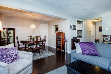 9 Marion St unit F, Roslindale, MA 02131 - photo 7