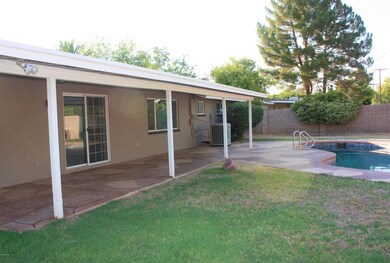 Back Patio