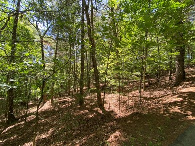 00 Ruby Cir, Franklin, NC 28734 - photo 3