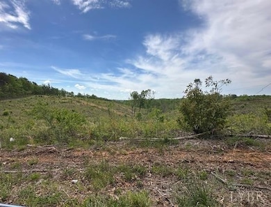 LOT 1 Leesville Rd, Lynch Station, VA 24571 - photo 5