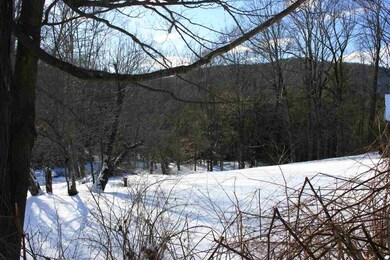 0 Nh Rt 63 unit 4675164, Westmoreland, NH 03467 - photo 4