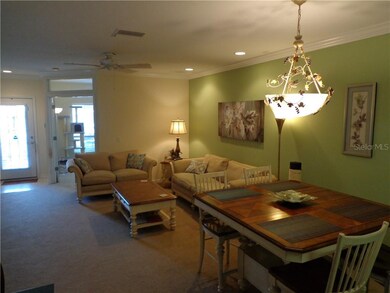 15842 Fishhawk View Dr, Lithia, FL 33547 - photo 5