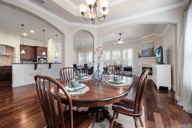 3975 Firebush, San Antonio, TX 78261 - photo 4