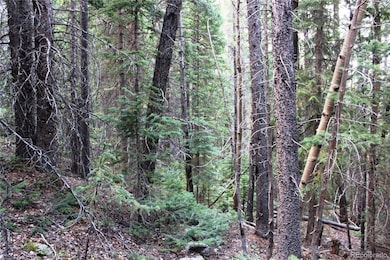 00 Gamble Gulch Rd unit 337,16773, Black Hawk, CO 80422 - photo 5