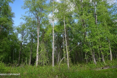 L1 S Clara Cir, Talkeetna, AK 99676 - photo 3