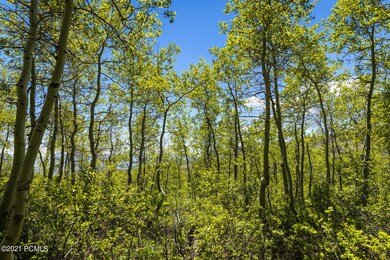 4914 N Hidden Way, Midway, UT 84049 - photo 6