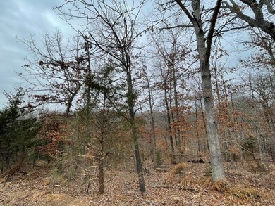 Lot 12 Savidge Cir, Bella Vista, AR 72715 - photo 4