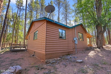 287 S Lookout Trail, Payson, AZ 85541 - photo 6