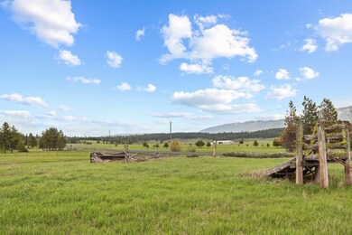 Lush Meadow
