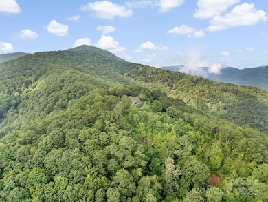 2200 Camp Branch Rd, Waynesville, NC 28786 - photo 4