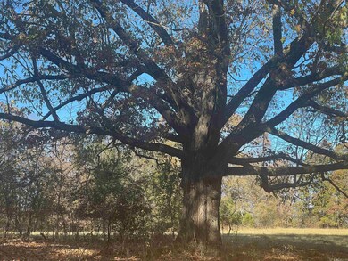 0 Shiloh, Paragould, AR 72450 - photo 5