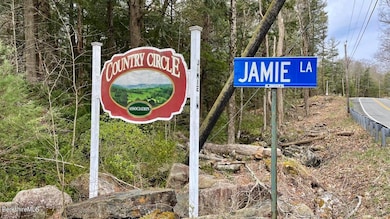 0 Jamie Ln, Sandisfield, MA 01245 - photo 3