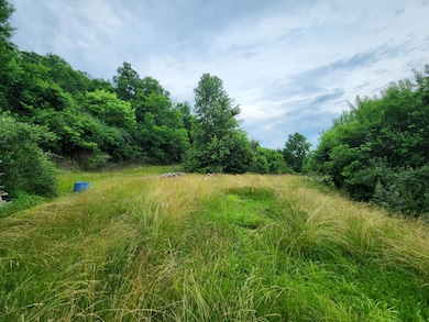 3125 Indiana 156, Rising Sun, IN 47040 - photo 7