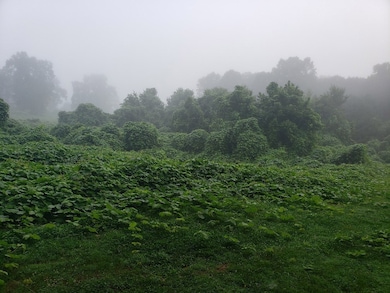 7965 Reynoldsburg Rd, Springville, TN 38256 - photo 6