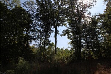 00000 Iron Mountain Rd, Asheboro, NC 27205 - photo 2