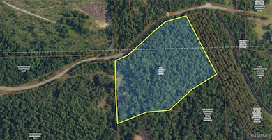 Lot 63 & 63A Riverview Landing Dr, Camden, AL 36726 - photo 3