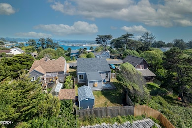 Drone: Backyard