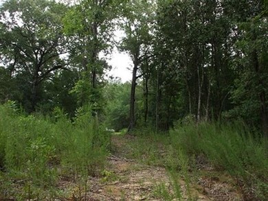 0 Blake Rd unit 71870394, Danville, NH 03819 - photo 2