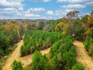 0 Meadows Rd unit RTC3054555, Portland, TN 37148 - photo 7