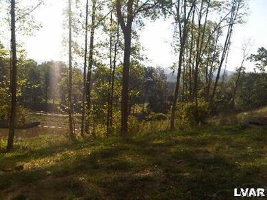 5690 Saucon Ridge Rd unit lot 9, Coopersburg, PA 18036 - photo 4