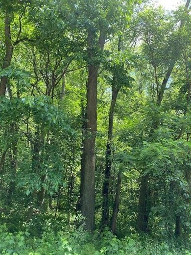 5 Ac Sunrise Rd, Rutland, WI 53575 - photo 3