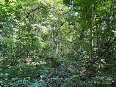 3287 Stones Throw Dr unit 3, Valdese, NC 28690 - photo 6