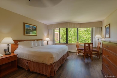 6 Emmons Rd unit 515, Crested Butte, CO 81225 - photo 2