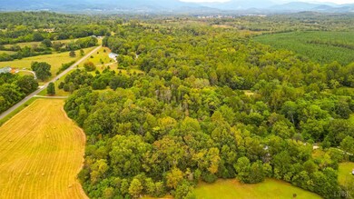 0 Roses Mill Rd unit 361991, Amherst, VA 24521 - photo 7