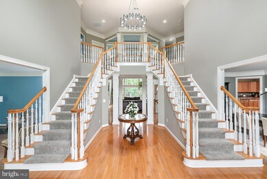 22016 Crested Quail Dr, Ashburn, VA 20148 - photo 3