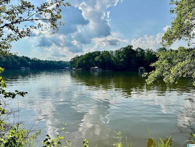 Lot 4/5 Old Highway 431 unit 1, Wedowee, AL 36278 - photo 2