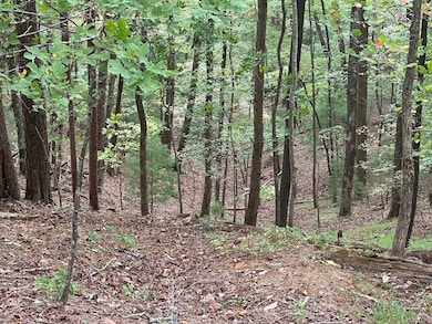 Lot A28 Laurel Ridge Dr, Ellijay, GA 30536 - photo 3