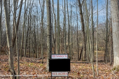 11550 Tamarack Trail, Bath, MI 48808 - photo 3