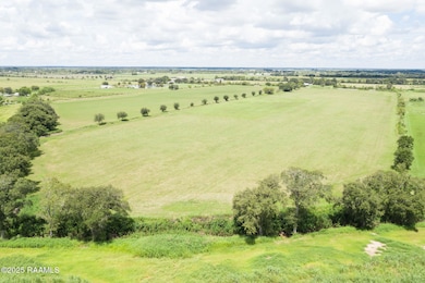 000 Hwy 92, Maurice, LA 70555 - photo 5