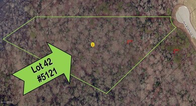 5121 Pleasant Ct, Elm City, NC 27822 - photo 3