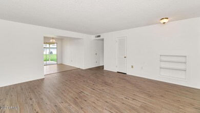 9918 W Highwood Ln, Sun City, AZ 85373 - photo 7