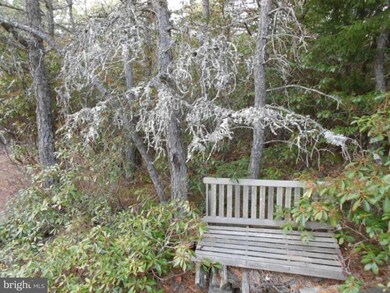 6 Kile Knob, Franklin, WV 26807 - photo 6