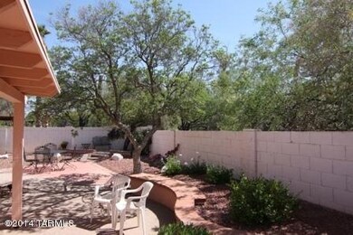 back yard