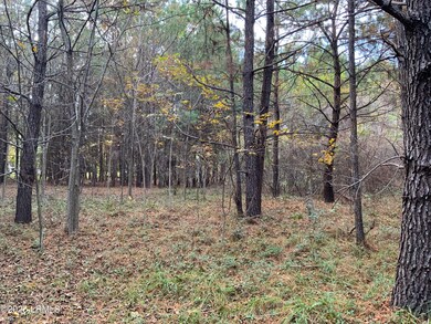 37 Pearl Harbor Dr, Seabrook, SC 29940 - photo 3