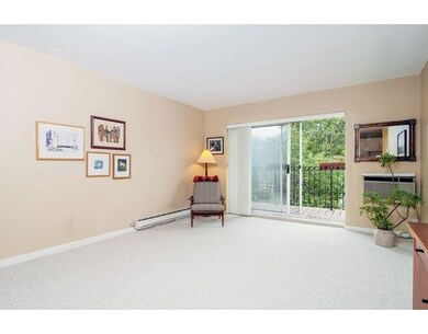 29 Custer St unit 304, Jamaica Plain, MA 02130 - photo 7