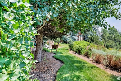 1172 Turnberry Woods Dr, Midway, UT 84049 - photo 4