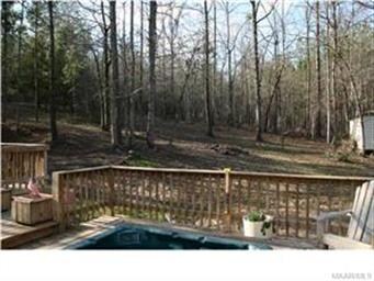 Back yard view