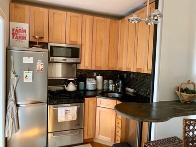 10 Jamaicaway Ct unit 10, Jamaica Plain, MA 02130 - photo 3